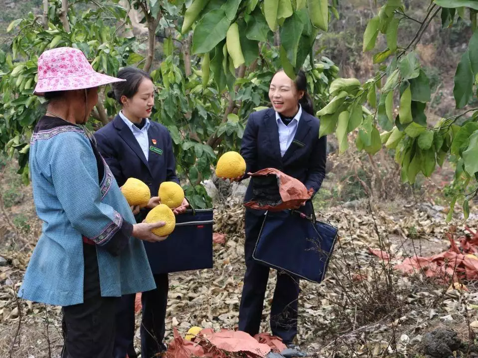 邮储银行黔南州分行：金融助力景区商业“活起来”金靖官宣喜讯！首晒产后照片，嫁给34岁舒奕橙，如今已成人生赢家-第3张图片-特色小吃