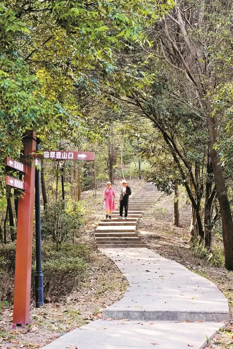 能发呆歇脚 可追蝶播种 龙岗区首个远足径驿站营地活动丰富野趣多多这就是“女大学生的完美寝室”？千万网友围观羡慕！找到她们几个了……