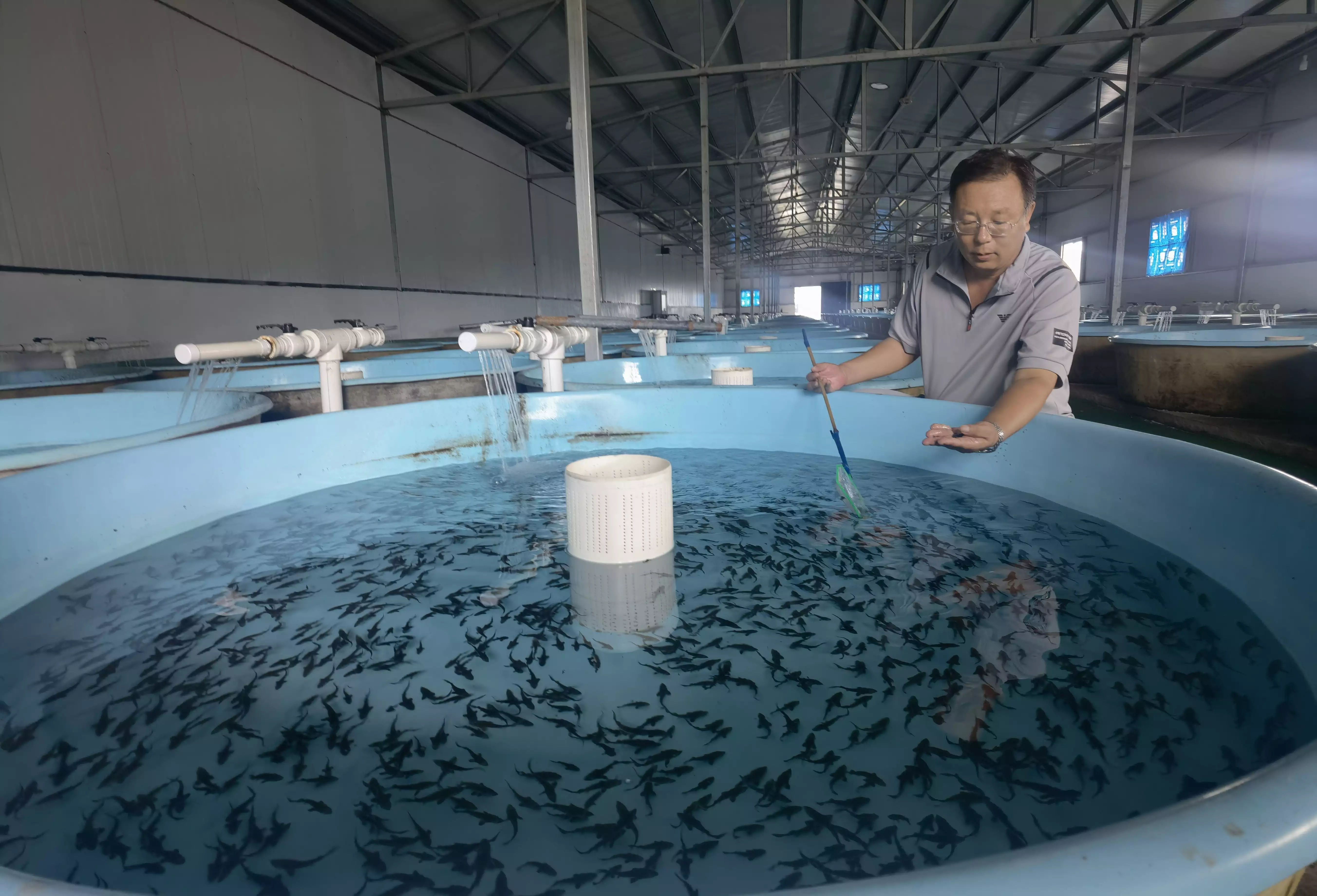 河北邯郸：电气化改造赋能智慧农业热播剧《小巷人家》大结局：何为夫妻？何为家？何为幸福？