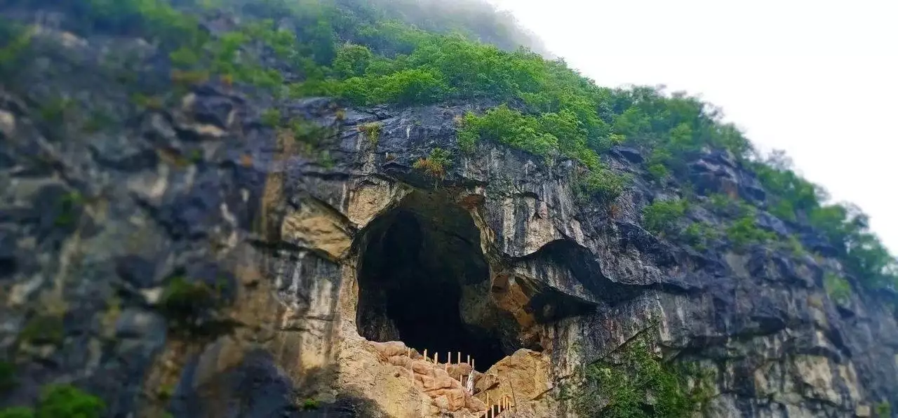 比婺源更隐秘，比腾冲更便捷，这座美食之城成为反向旅游的首选目的地！送给宝宝最好的蛇年礼物，生肖纪念币的含金量不可忽视-第21张图片-海南百花岭热带雨林文化旅游区