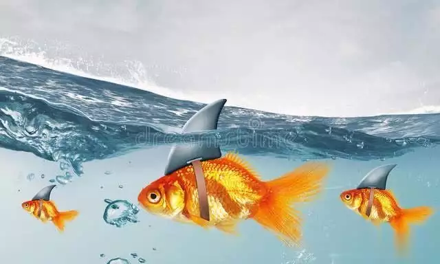 梦境的深意，解析梦到钓到两条大鱼和一条小鱼的神秘寓意