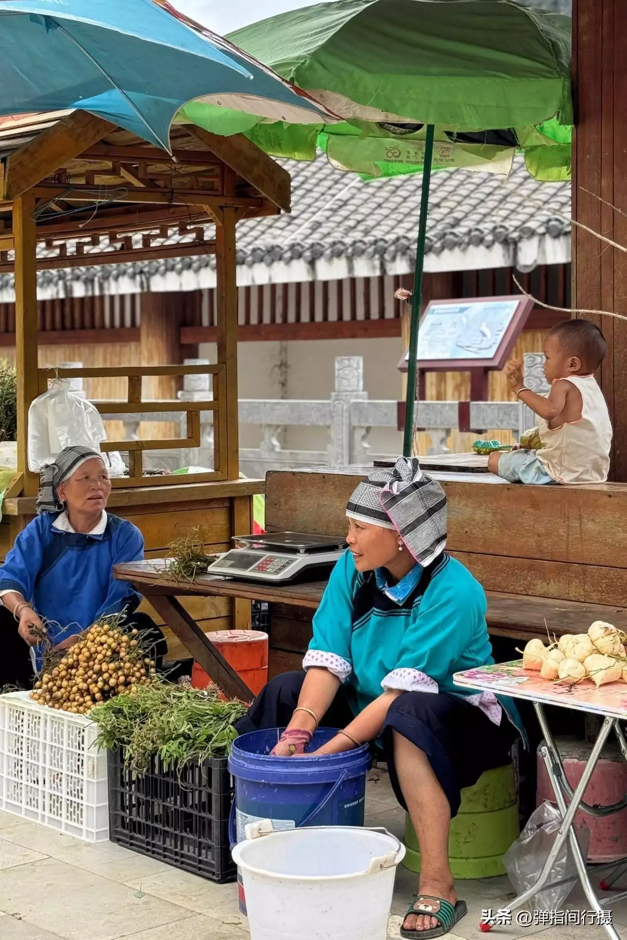 广西最深藏不露的旅游城市，山水风光不输桂林，却被很多游客忽视世界上竟有蜈蚣会吃鸟？30多厘米蜈蚣年吃3700只鸟，为何这么大？