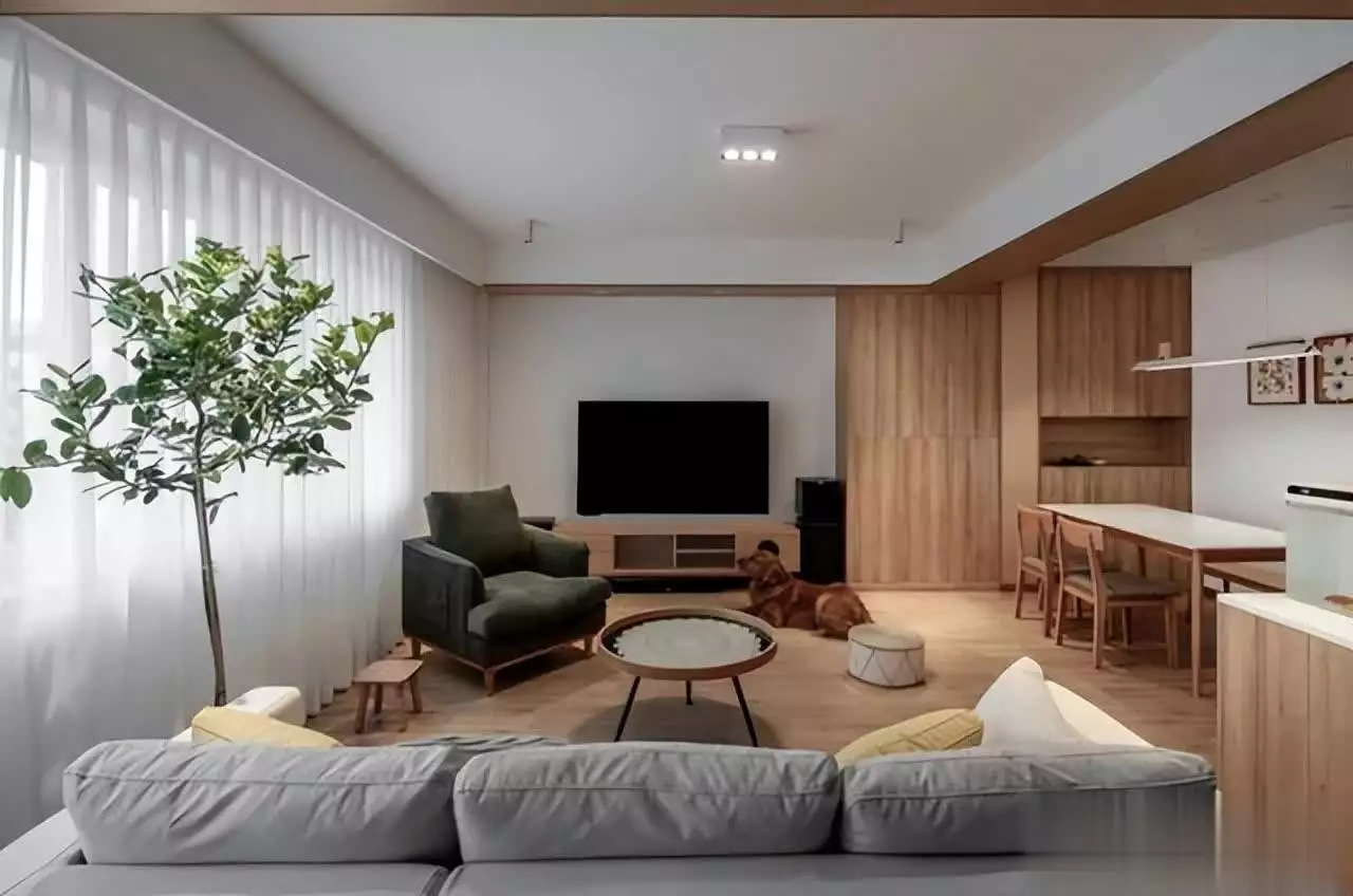 二十年老宅惊艳变身,翻新效果让90后泪目!探秘粒子的奇幻旅程:它们如何在两个地方同时现身,而我们人类却做不到?