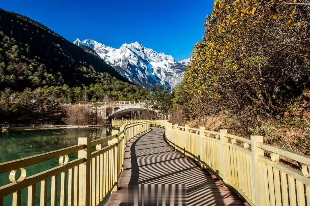 丽江最美的河流，雪山美景“近在咫尺”，随便拍拍都很梦幻《雪迷宫》老舅下线！郑北、姜小海最后博弈，姜迎紫结局不一般-第9张图片-海南百花岭热带雨林文化旅游区