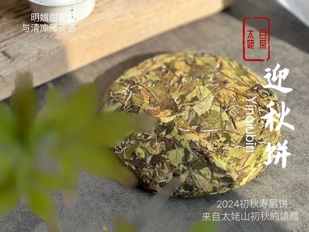 茶叶店里的白茶饼，为什么都用塑料膜包着？这样存茶更好吗？