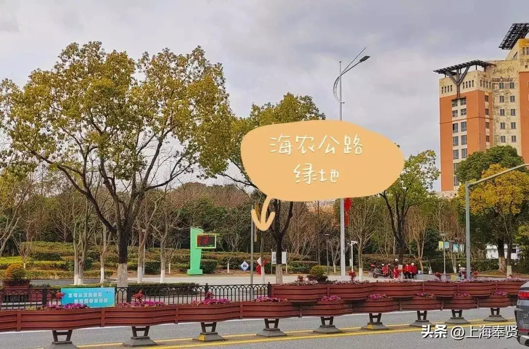 海湾镇全国城市联合招聘_招聘_传奇176怀旧版招聘会