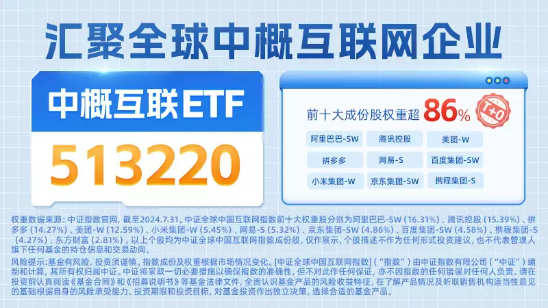 财报亮点频现，外资大手笔加仓，机构：中概股更具性价比！播报文章