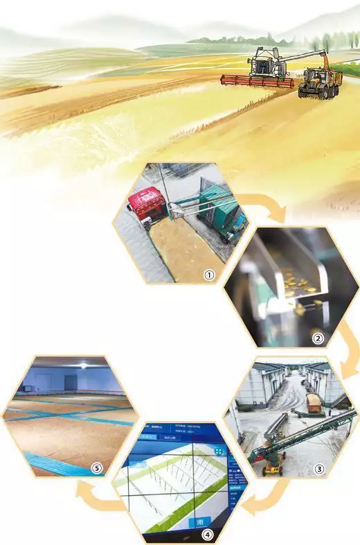 智慧粮仓让优粮优储（一线调研）《小夫妻》：看到李子刘当着车莉的面抢功，发现千年老故事要重演