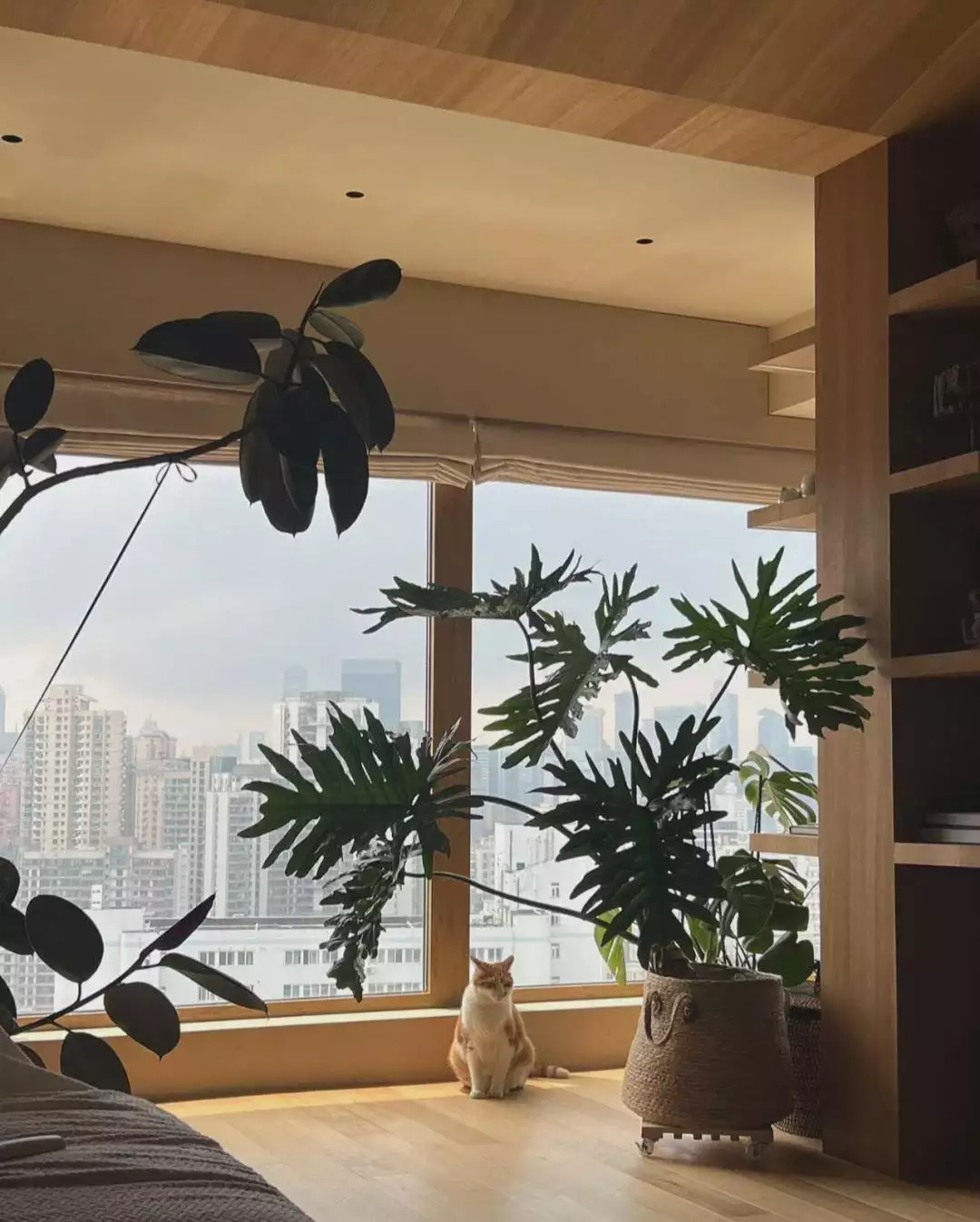 140平自然原木质感温馨四室,秉承克制与至简理念!中式“校园战袍”走红,00后老师穿上原地变老30岁,超级加辈