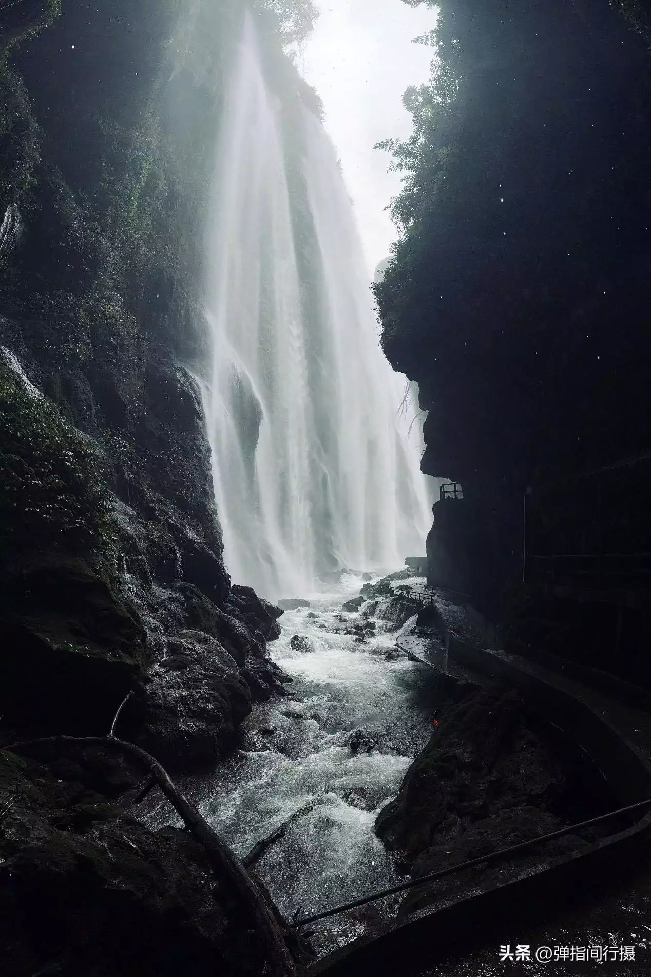 广西最深藏不露的旅游城市，山水风光不输桂林，却被很多游客忽视世界上竟有蜈蚣会吃鸟？30多厘米蜈蚣年吃3700只鸟，为何这么大？