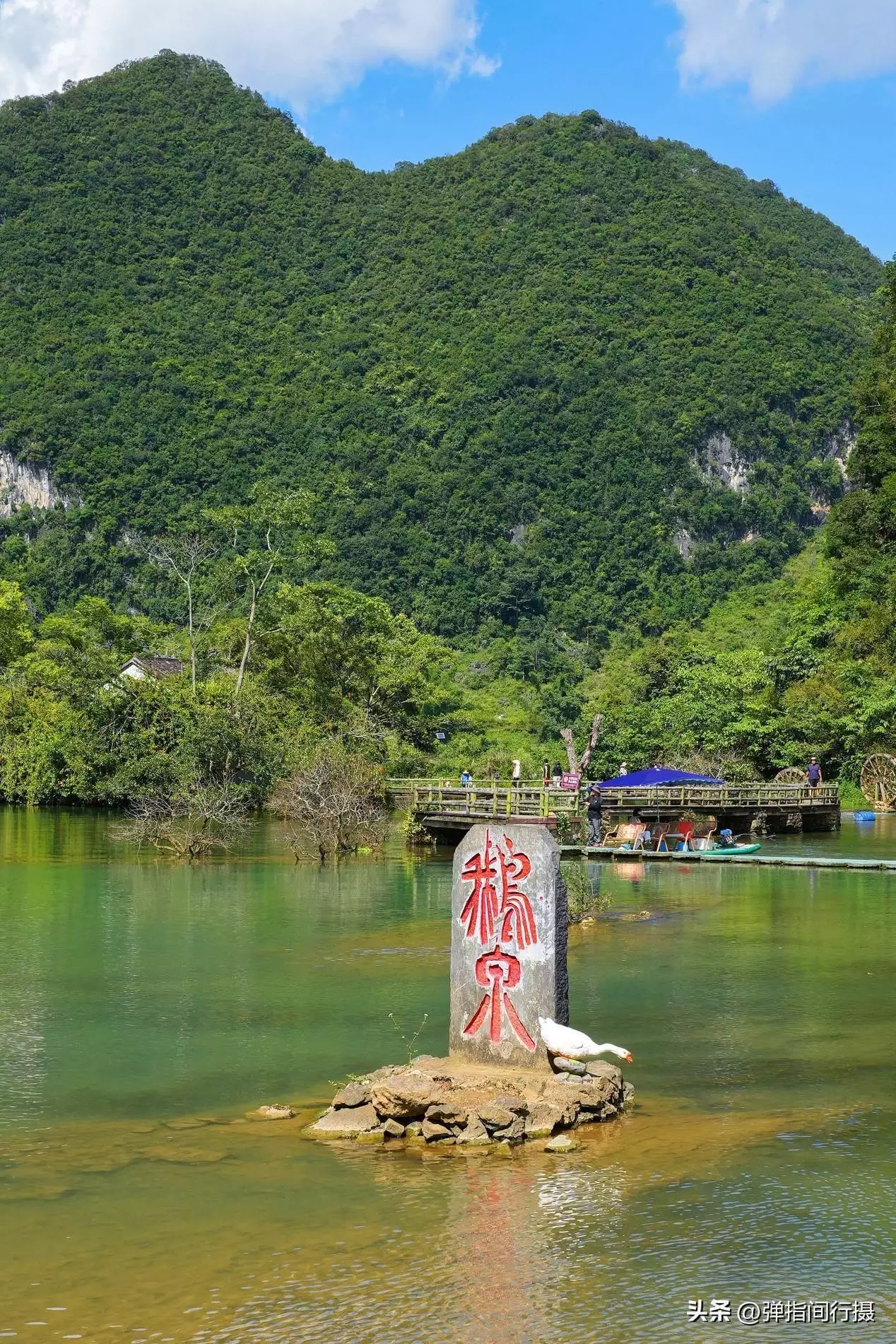 广西最深藏不露的旅游城市，山水风光不输桂林，却被很多游客忽视世界上竟有蜈蚣会吃鸟？30多厘米蜈蚣年吃3700只鸟，为何这么大？