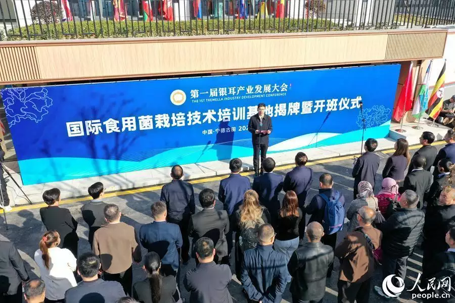 利博装饰设计有限公司（中国官网）