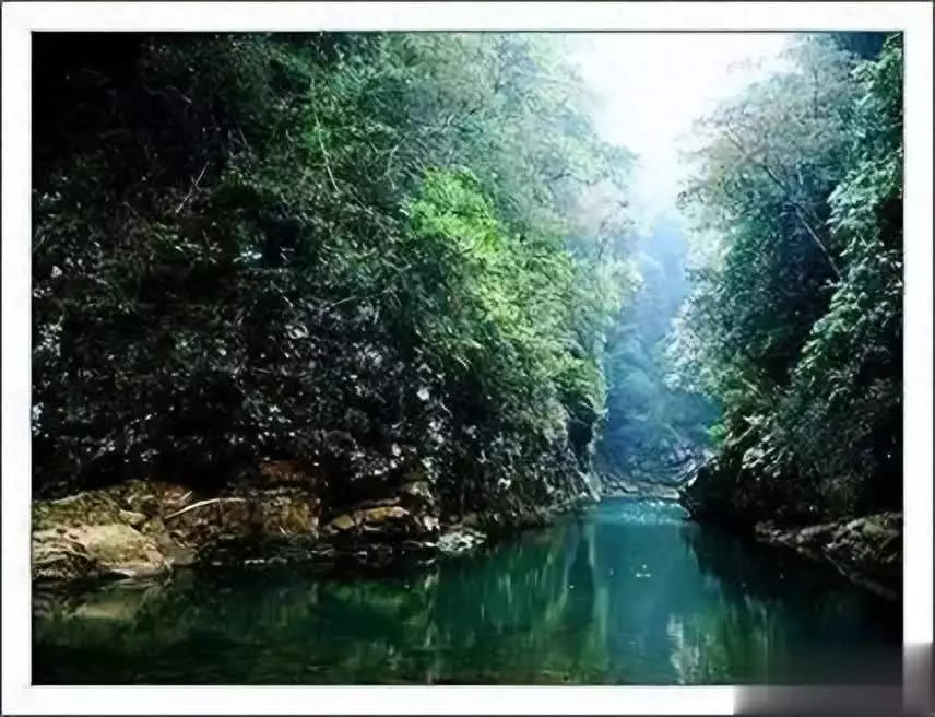 利雅迪三角“鬼谷”之谜,进谷即迷路多人失踪史上最特别的一场婚礼:来宾一半是警察,还有一半是毒贩 利雅迪三角“鬼谷”之谜,进谷即迷路多人失踪史上最特别的一场婚礼:来宾一半是警察,还有一半是毒贩