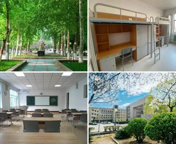 理工类大学排名_山东理工大学韩国留学预科班_韩国留学费用低