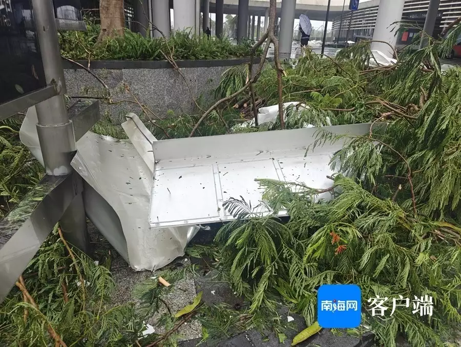 受强台风“摩羯”影响 海口五源河体育场顶棚损毁严重被央视点赞好评的5部剧，你要是全都没看，那就太遗憾了！