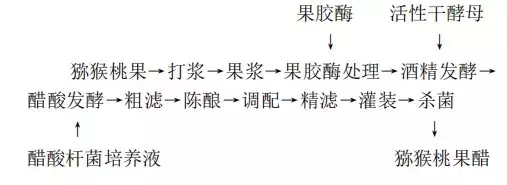 干货分享（猕猴桃可以和苹果一起泡醋吗）猕猴桃加苹果榨汁功效，猕猴桃、蓝莓等4种果醋发酵工艺及配方放学后⌯ᴗo⌯ .ᐟ，