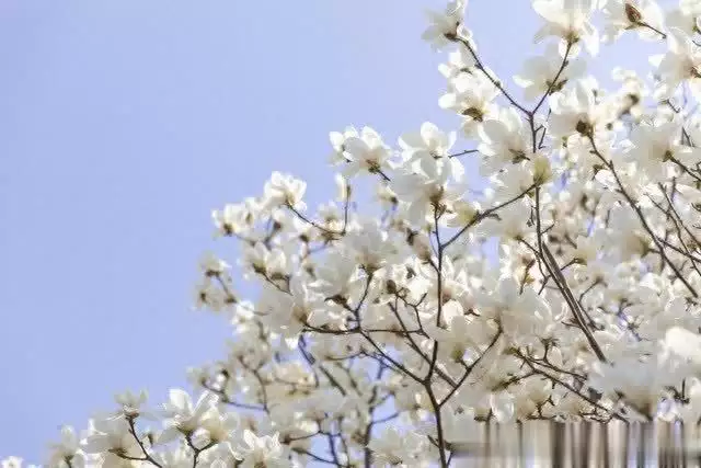 掌握财富之钥:坚持这15条“赚钱法则”这些“肉麻话”,女人很爱听,尤其是到了中年 掌握财富之钥:坚持这15条“赚钱法则”这些“肉麻话”,女人很爱听,尤其是到了中年
