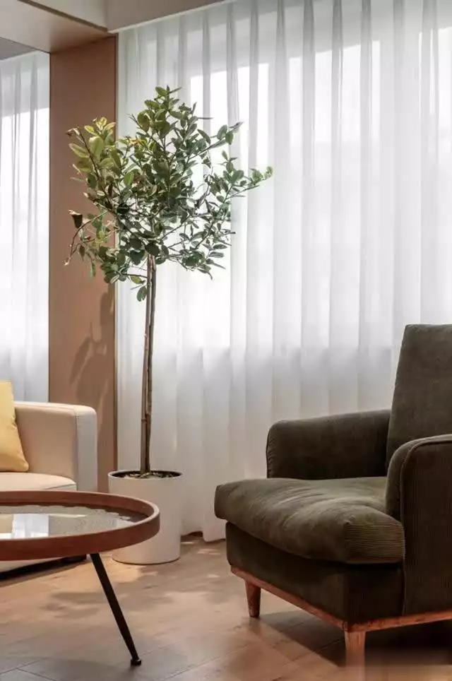 二十年老宅惊艳变身,翻新效果让90后泪目!探秘粒子的奇幻旅程:它们如何在两个地方同时现身,而我们人类却做不到?