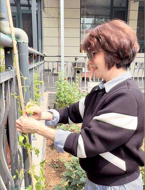 央视主持徐莉晒田园生活，与二婚老公住北京大院子别墅！