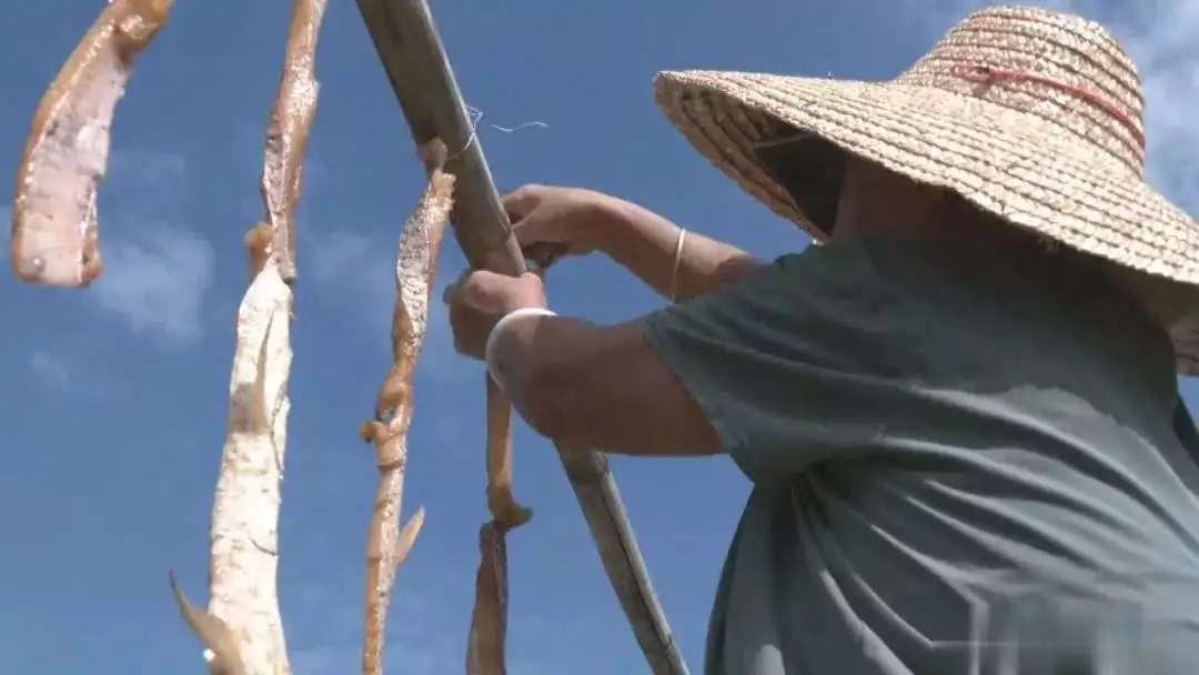 2024新奥资料免费精准175,秋风送爽，肇庆人开始晒鱼干播报文章