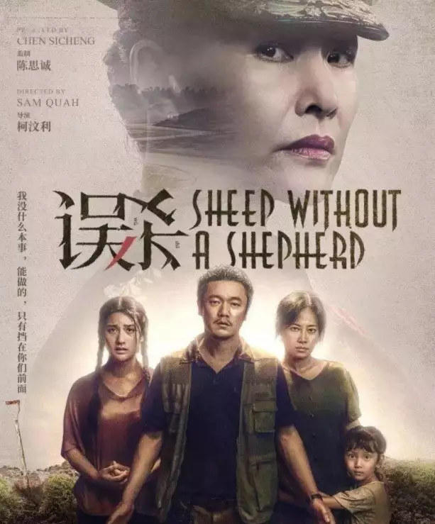 电影误杀讲的是什么内容