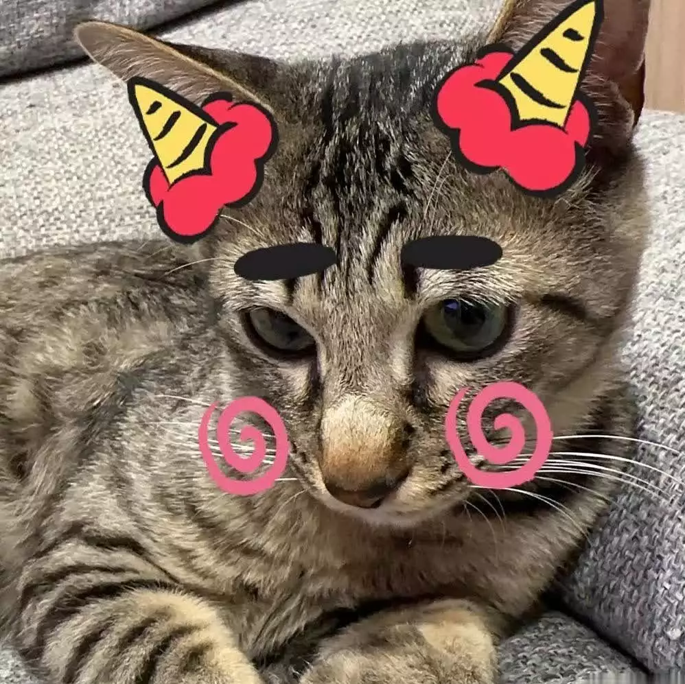 万万没想到（猫咪爱玩塑料袋）猫咪喜欢塑料袋，猫咪痴迷纸袋塑料袋？看似有趣，实则暗藏危机他曾扮作乞丐，行走1400多公里，如果没有他，我国原子弹恐难成功，