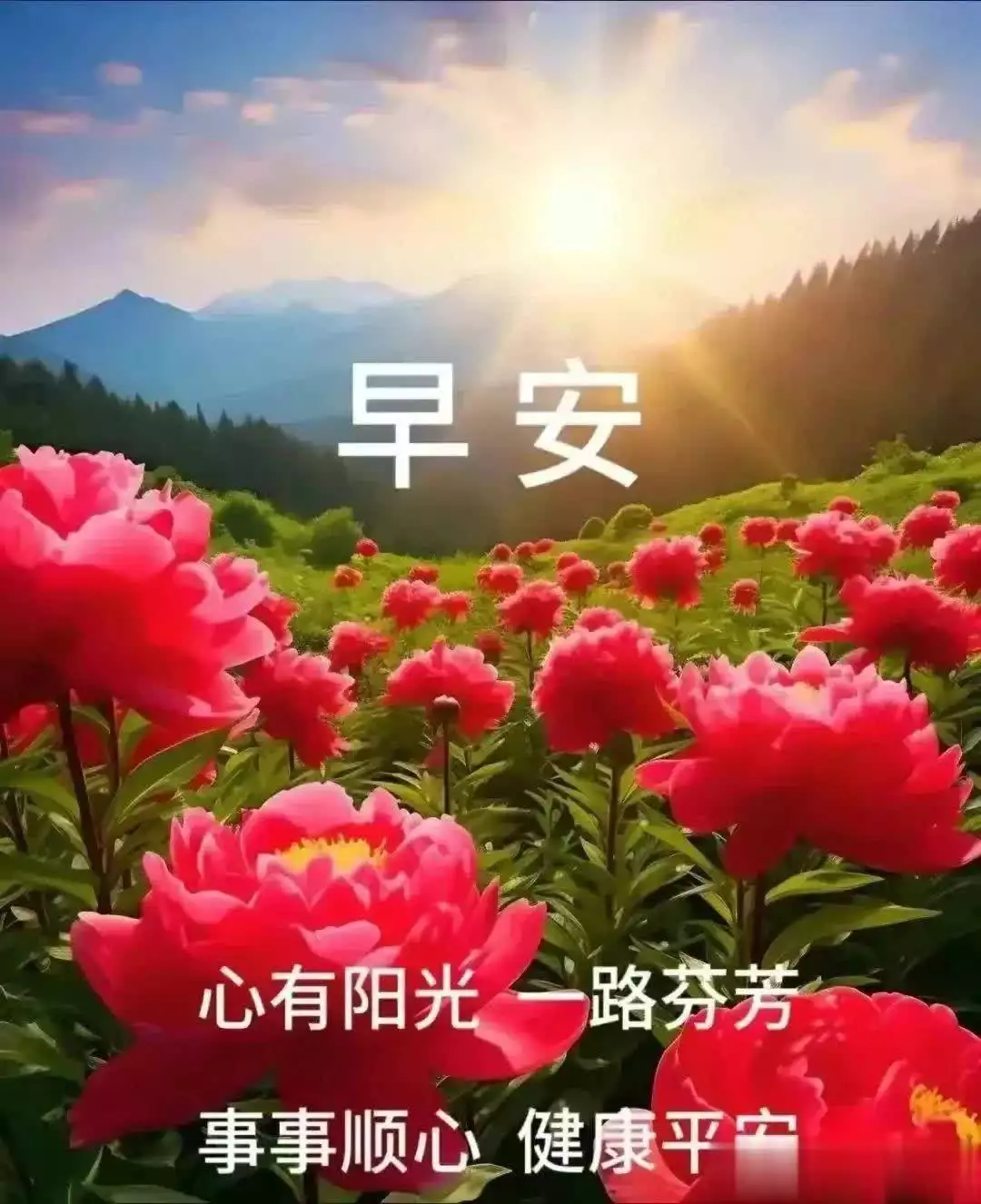 今日精选早安问候语,传递温馨祝福,愿您平安如意每一天曾舜晞的6位古装女主,李沁、田曦薇、陈钰琪、杨超越谁更有cp感 今日精选早安问候语,传递温馨祝福,愿您平安如意每一天曾舜晞的6位古装女主,李沁、田曦薇、陈钰琪、杨超越谁更有cp感