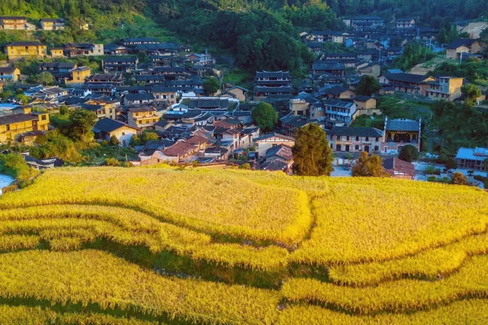 比婺源更隐秘，比腾冲更便捷，这座美食之城成为反向旅游的首选目的地！送给宝宝最好的蛇年礼物，生肖纪念币的含金量不可忽视-第2张图片-海南百花岭热带雨林文化旅游区