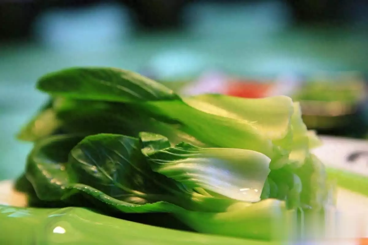 长期水煮青菜能减肥？你以为的健康食谱其实很伤身当顶流光环褪去，暴瘦驼背的鹿晗还能撑起内娱舞台吗？