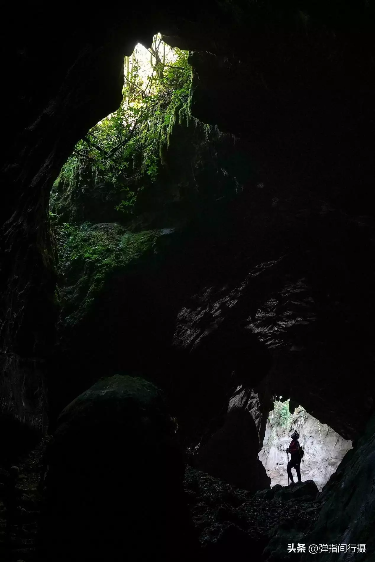 广西最深藏不露的旅游城市，山水风光不输桂林，却被很多游客忽视世界上竟有蜈蚣会吃鸟？30多厘米蜈蚣年吃3700只鸟，为何这么大？