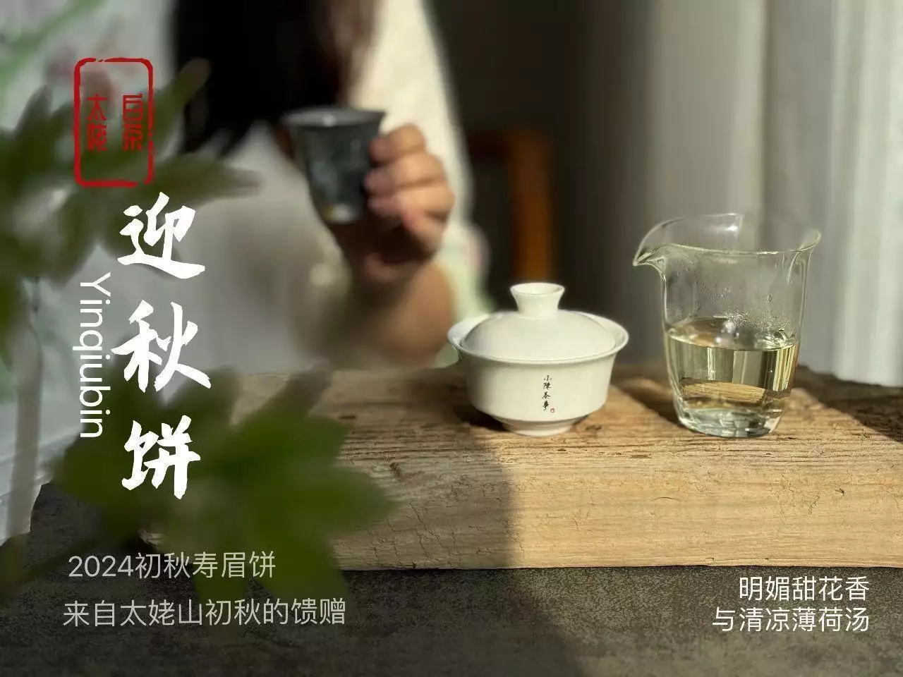 茶叶店里的白茶饼，为什么都用塑料膜包着？这样存茶更好吗？  第2张