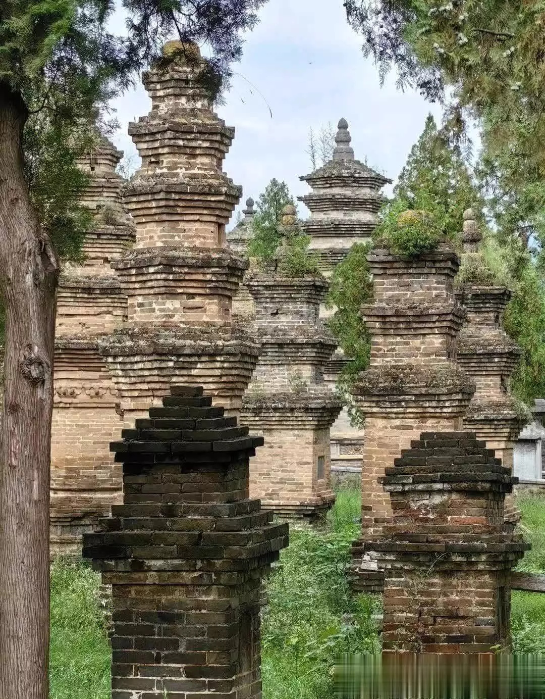 中国最低价的5A景区，不输黄山，住宿却只要100最适合老年人此人曾经是彻头彻尾的民族败类，现在却有人在试图地美化他！(图11)