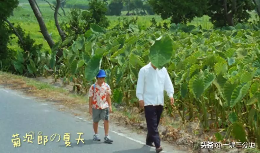 电影《菊次郎的夏天》：一场温暖治愈的心灵旅程玛丽莲·梦露去世后的照片，牙齿掉光衰老几十岁，怀孕时依然美丽