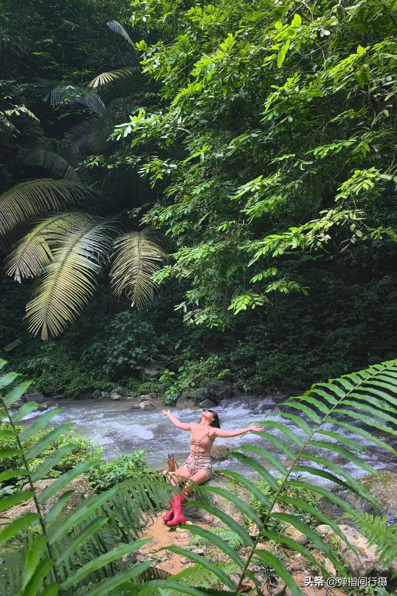 广西最深藏不露的旅游城市，山水风光不输桂林，却被很多游客忽视世界上竟有蜈蚣会吃鸟？30多厘米蜈蚣年吃3700只鸟，为何这么大？