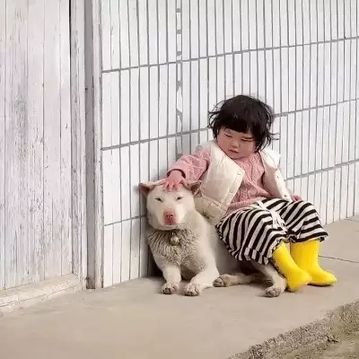 两千万网红上央视打滚撒野,一岁就开始赚钱,至今还没有上幼儿园原创慈禧从北京一路逃往西安,护卫都没带,为何一路黑白通吃,没人敢惹?( 两千万网红上央视打滚撒野,一岁就开始赚钱,至今还没有上幼儿园原创慈禧从北京一路逃往西安,护卫都没带,为何一路黑白通吃,没人敢惹?(