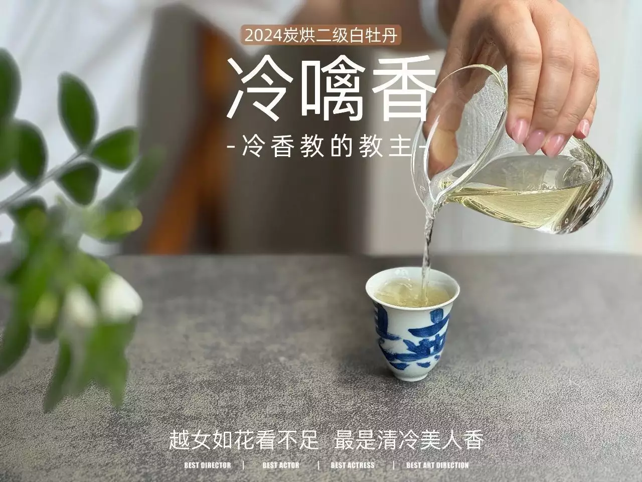 完全密闭的房间，是存茶的最佳地点吗？刚播热度就破2万，力压蒋欣，登顶热度榜第一，虞书欣这次赢麻了-第7张图片-福建名茶