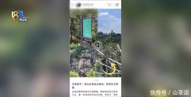 又有发现！环卫大姐带着记者真找到了！