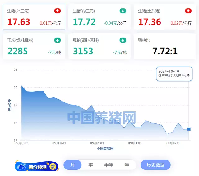 10月10日猪价：市场情绪好转，猪价开启“大反攻”？放眼整个娱乐圈，像向佐这样努力的富二代绝无仅有！