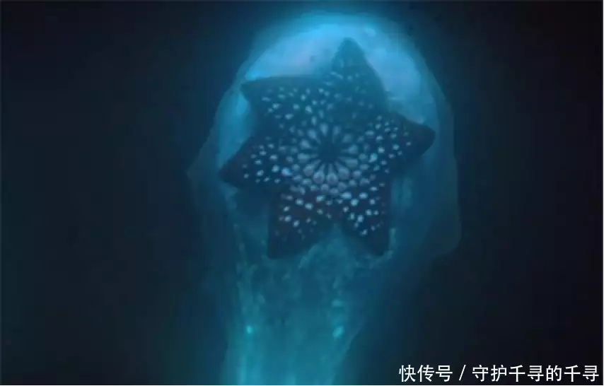 渔船驶入禁区，以为捞到大鱼很开心，却不知船底捞的是巨型海怪他是乾隆最宠爱的儿子可惜不是亲生的，否则皇位也轮不到嘉庆！