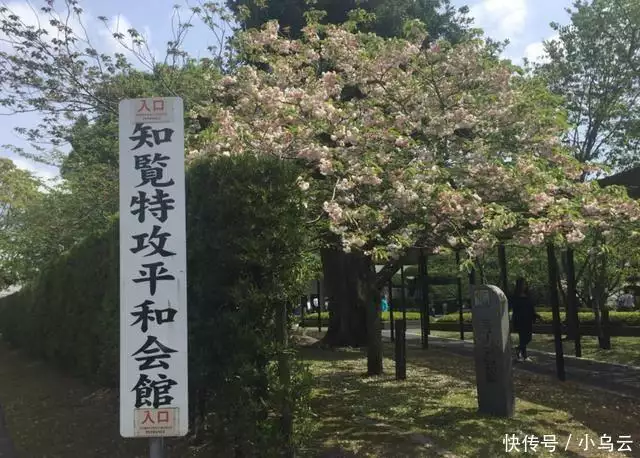 南宫体育：早田希娜张本智和被央视封杀？想去战犯资料馆还参拜神社，孙颖莎樊振东已取关播报文章 南宫博彩资讯 第6张