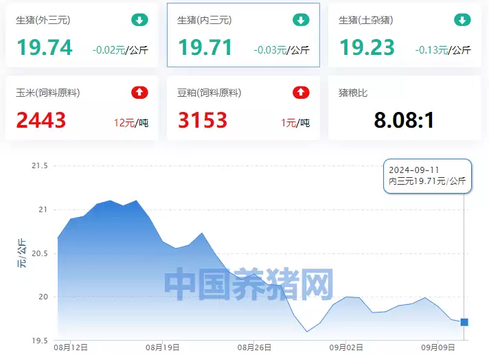 09月11日猪价：大跳水！生猪价格“跌麻了”！明末农民军猛将王得仁的悲怆而无奈的人生：反复易主但视死如归 第6张