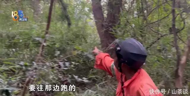 又有发现！环卫大姐带着记者真找到了！