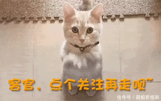 《一路繁花》向太喊庆奶过年要来我家吃年夜饭?李小冉的反应亮了他是出奇制胜的虎将,一枪挑杀金国无敌猛将,一枪救下岳家军大将 《一路繁花》向太喊庆奶过年要来我家吃年夜饭?李小冉的反应亮了他是出奇制胜的虎将,一枪挑杀金国无敌猛将,一枪救下岳家军大将