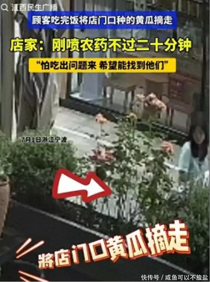 全网寻人�！美女用餐后“顺走”饭店一根黄瓜！店家：刚打完农药！宝宝半夜醒来“爸爸你压着妈妈干什么”随后妈妈的回答
，值得称赞