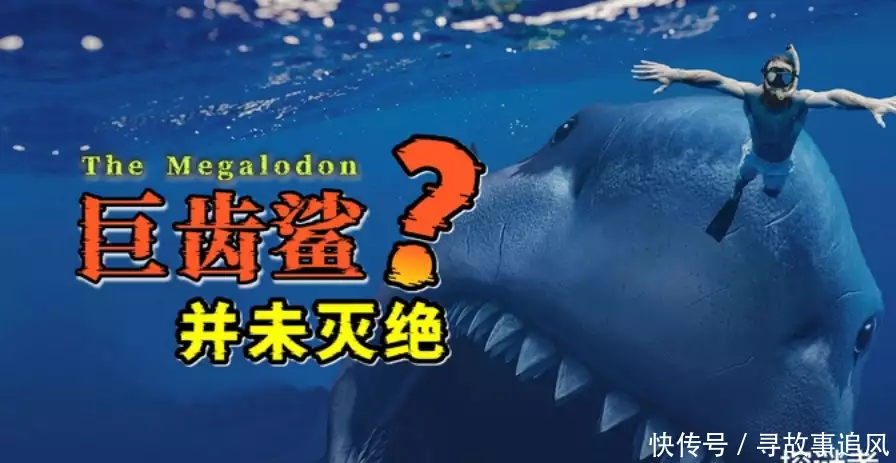 巨齿鲨灭绝了吗？大量目击事件，能否证明它们就藏于深海之中呢？孙殿英盗皇陵，挖开一看，发现清朝皇后“面目如生，有如古佛”