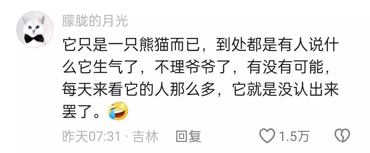 大熊猫福宝没认出韩国饲养员,韩国人破防尖叫:都是中国人害的谁帮美国打赢独立战争?看完才知:除了工人、黑奴,居然还有女人 大熊猫福宝没认出韩国饲养员,韩国人破防尖叫:都是中国人害的谁帮美国打赢独立战争?看完才知:除了工人、黑奴,居然还有女人