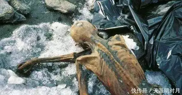 世界上最早的木乃伊“奥兹冰人”：传说接触过他的人都离奇死亡