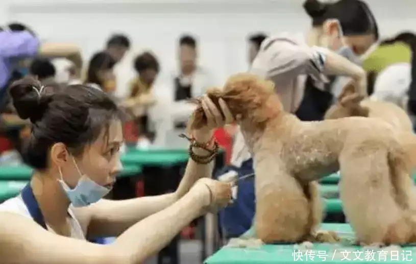 适合大学女生学的四大专业,“吸金”还自由,但对审美要求高乾隆微服私访,道士给他算了一卦,回去之后立刻传位给嘉庆 适合大学女生学的四大专业,“吸金”还自由,但对审美要求高乾隆微服私访,道士给他算了一卦,回去之后立刻传位给嘉庆