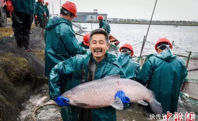 大事大事大事！一起来看今日要闻，8月7日新闻摘要丧偶后，想开看淡了，一切都不是事，悟透了，人生就顺了-第8张图片-黑龙江新闻八