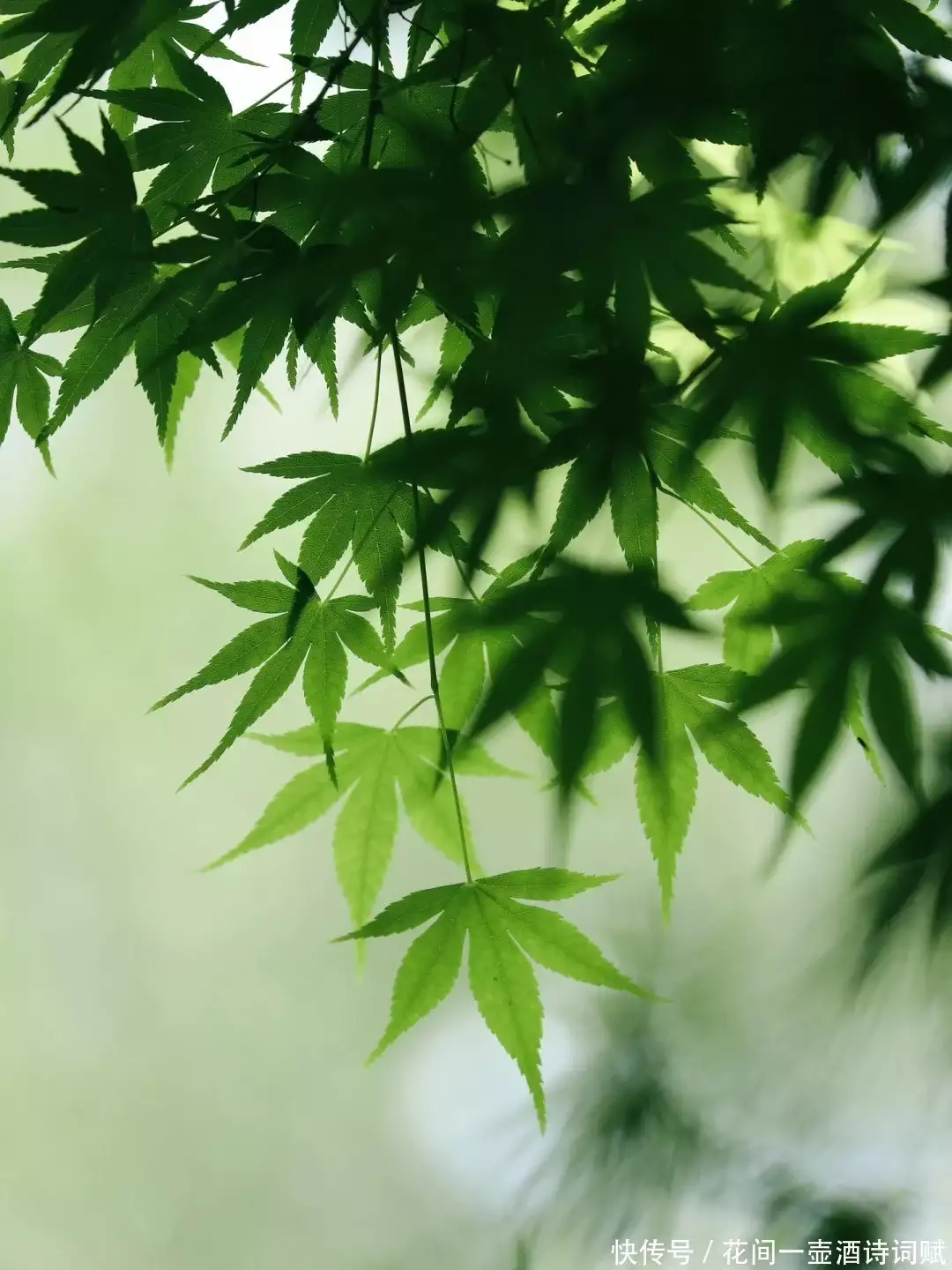 人生不如意事十之八九,5首古诗词:抑郁中自嘲,沉痛中宽慰自己大唐盛世兵强马壮,为何却灭不了吐蕃呢?对此你怎么看? 人生不如意事十之八九,5首古诗词:抑郁中自嘲,沉痛中宽慰自己大唐盛世兵强马壮,为何却灭不了吐蕃呢?对此你怎么看?